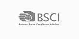 BSCI icon